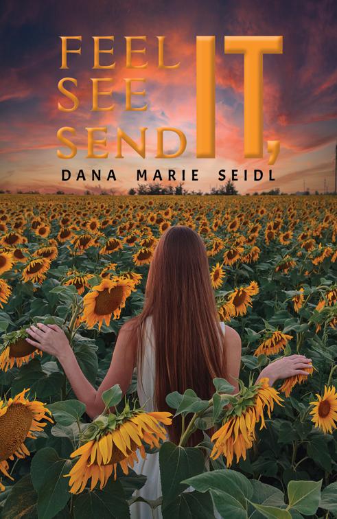 This image is the cover for the book Feel It, See It, Send It