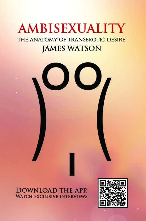 This image is the cover for the book Ambisexuality