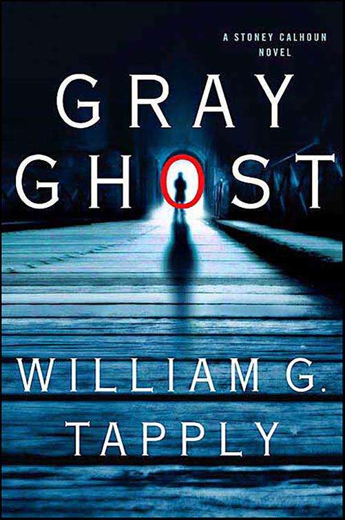This image is the cover for the book Gray Ghost, Stoney Calhoun Novels