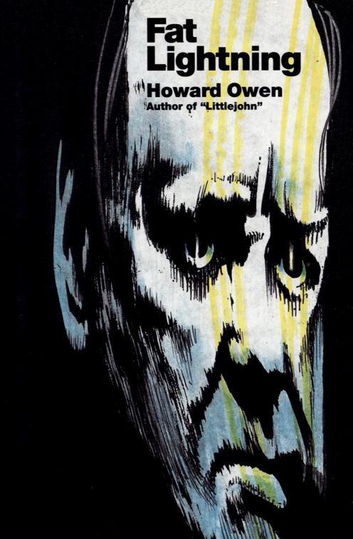 This image is the cover for the book Fat Lightning