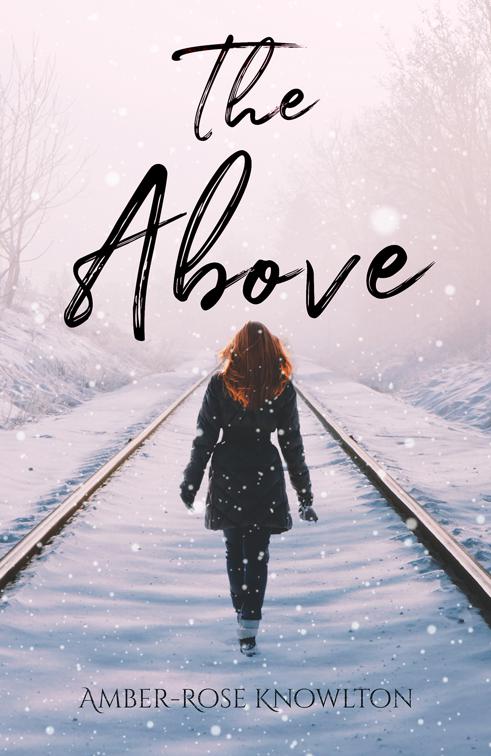 This image is the cover for the book The Above