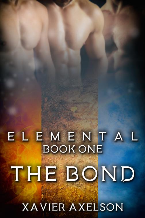 This image is the cover for the book The Bond