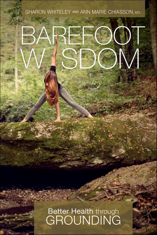 This image is the cover for the book Barefoot Wisdom
