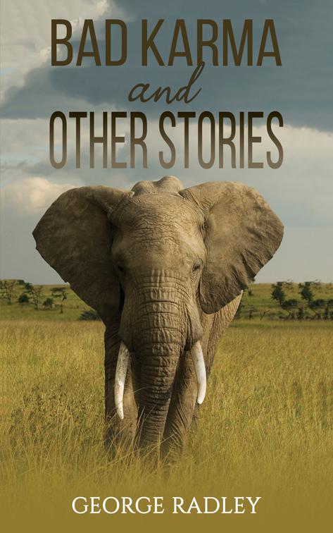 This image is the cover for the book Bad Karma and Other Stories'