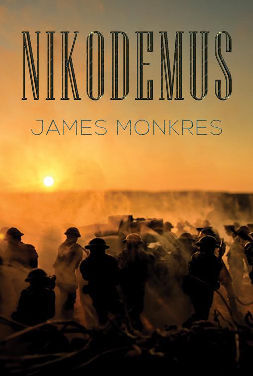 This image is the cover for the book Nikodemus