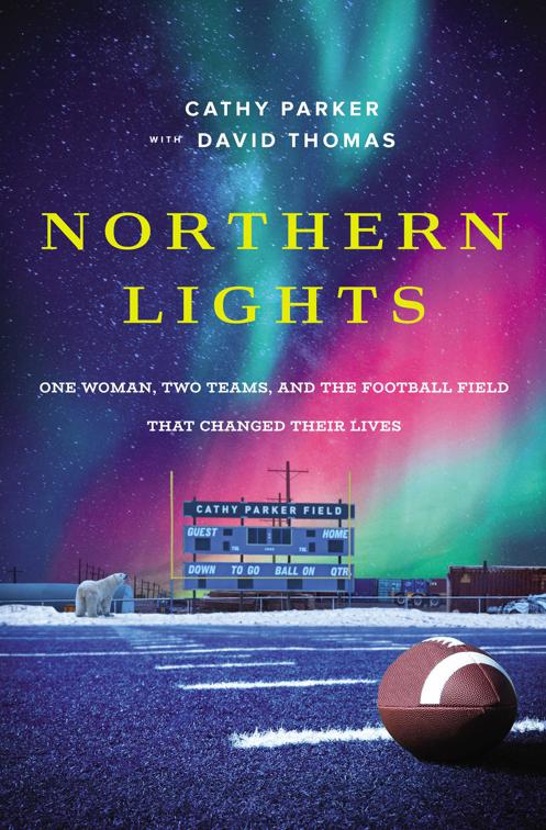 This image is the cover for the book Northern Lights