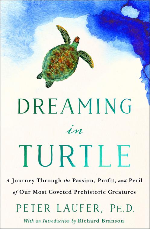 This image is the cover for the book Dreaming in Turtle