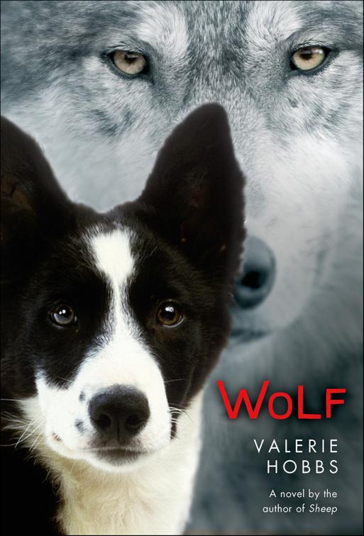 This image is the cover for the book Wolf