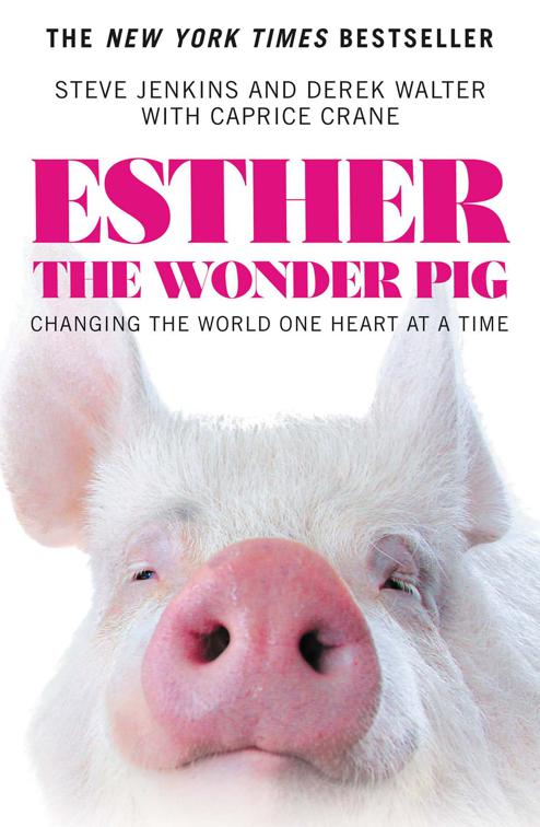 This image is the cover for the book Esther the Wonder Pig