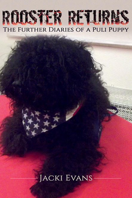 This image is the cover for the book Rooster Returns