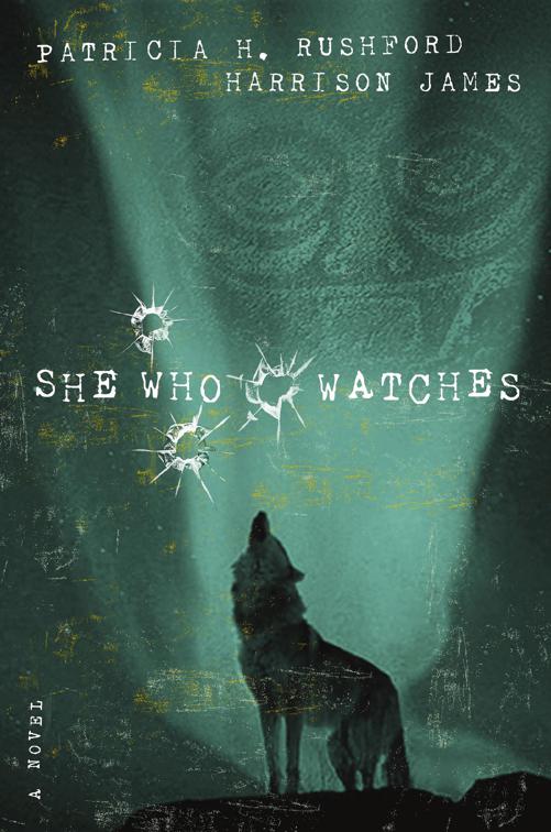 This image is the cover for the book She Who Watches