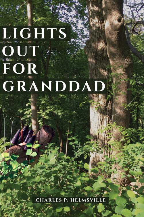 This image is the cover for the book Lights Out for Granddad