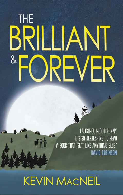 This image is the cover for the book Brilliant & Forever
