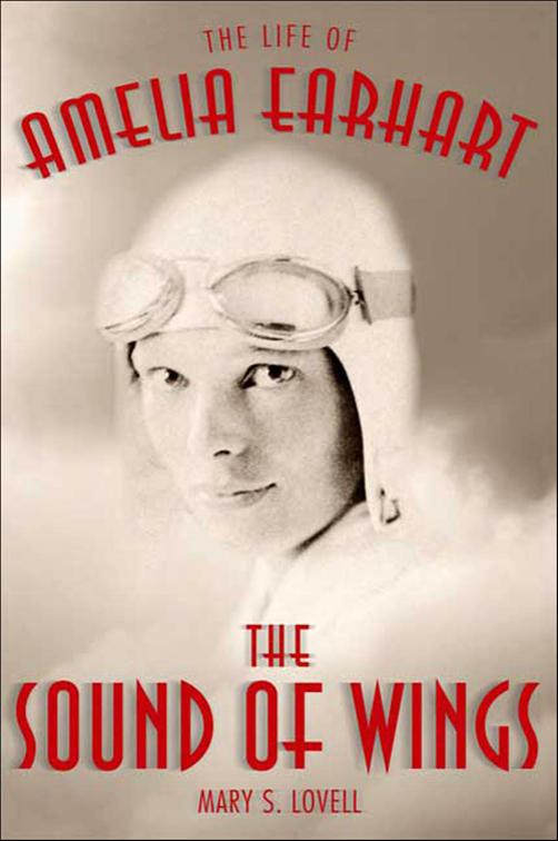 This image is the cover for the book The Sound of Wings