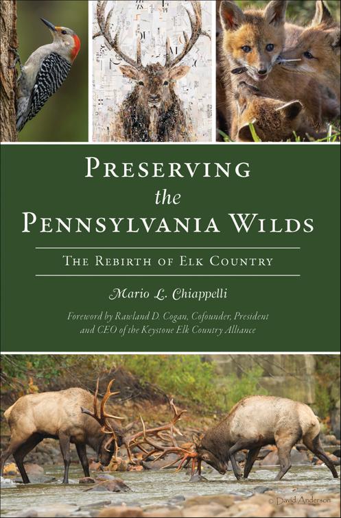 This image is the cover for the book Preserving the Pennsylvania Wilds