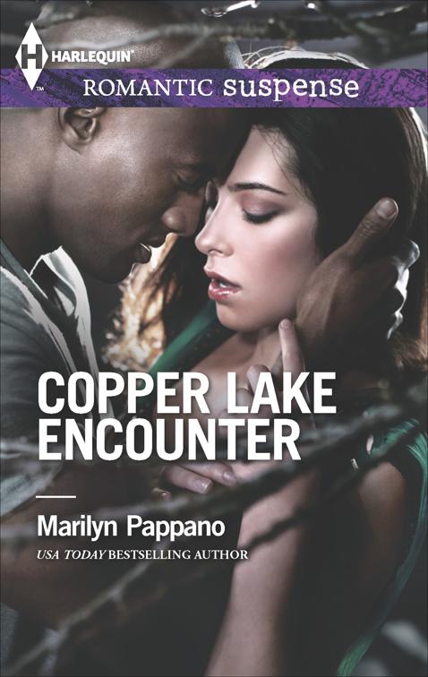 This image is the cover for the book Copper Lake Encounter