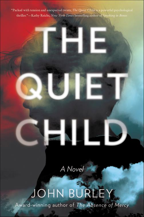 This image is the cover for the book Quiet Child