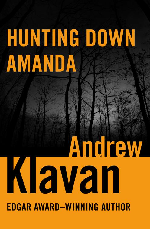 This image is the cover for the book Hunting Down Amanda