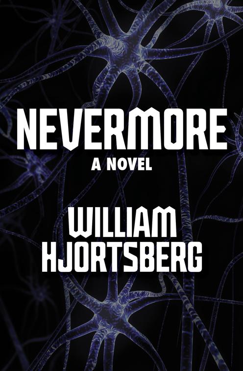 This image is the cover for the book Nevermore
