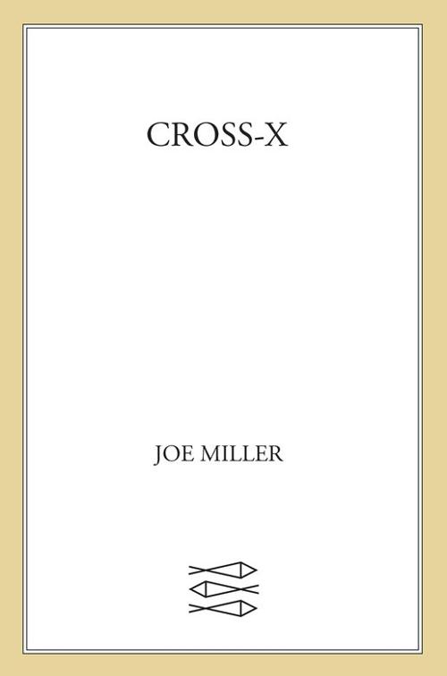 This image is the cover for the book Cross-X