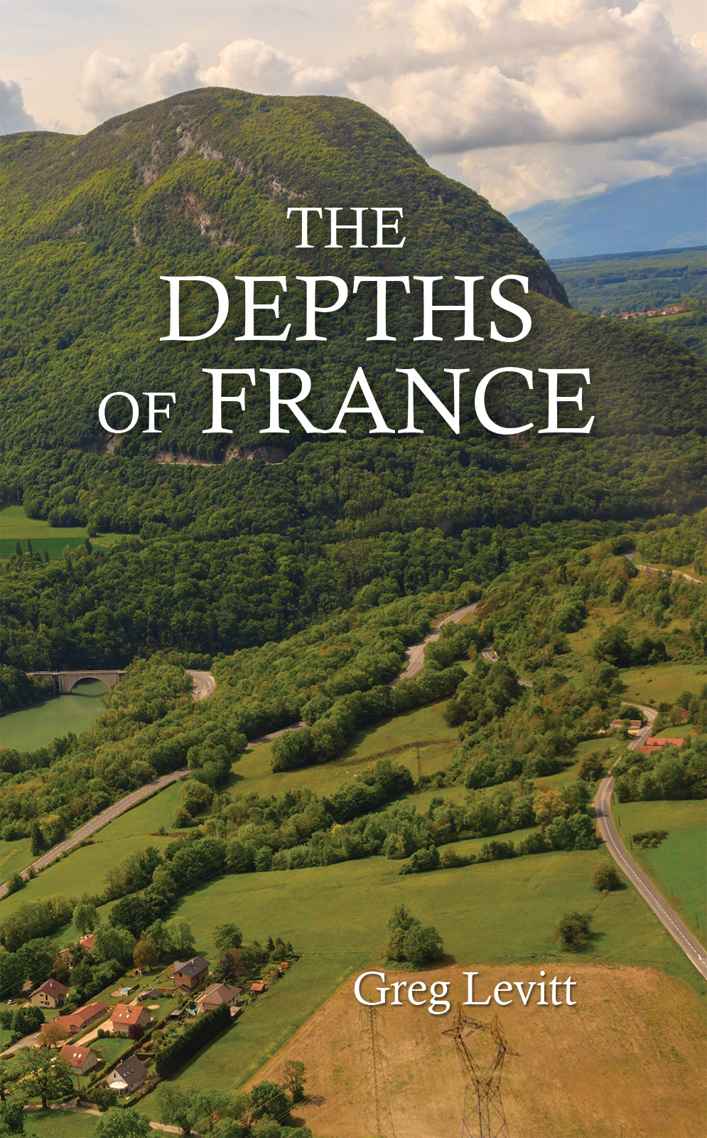 This image is the cover for the book The Depths of France