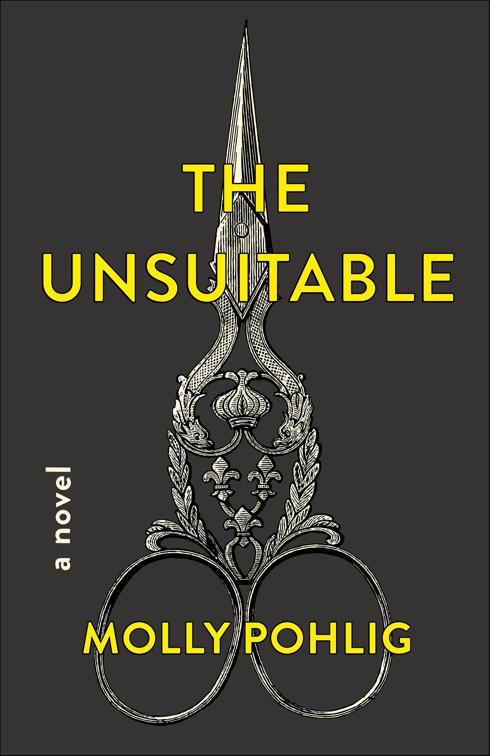 This image is the cover for the book Unsuitable