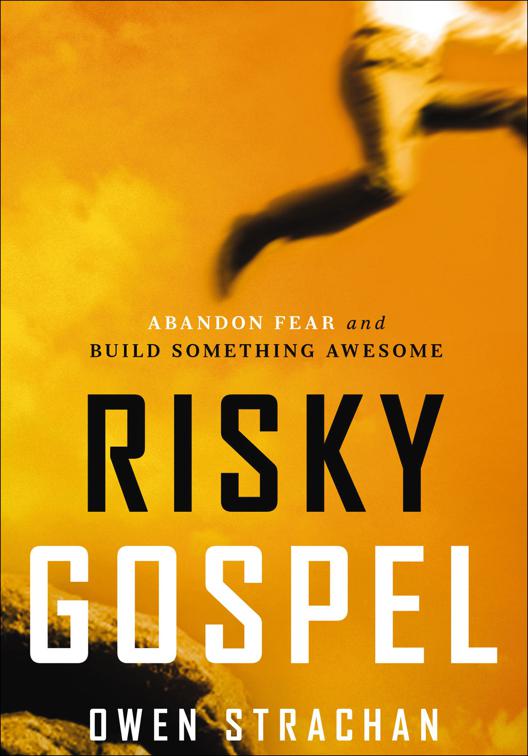 This image is the cover for the book Risky Gospel