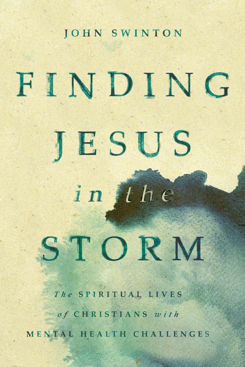 This image is the cover for the book Finding Jesus in the Storm