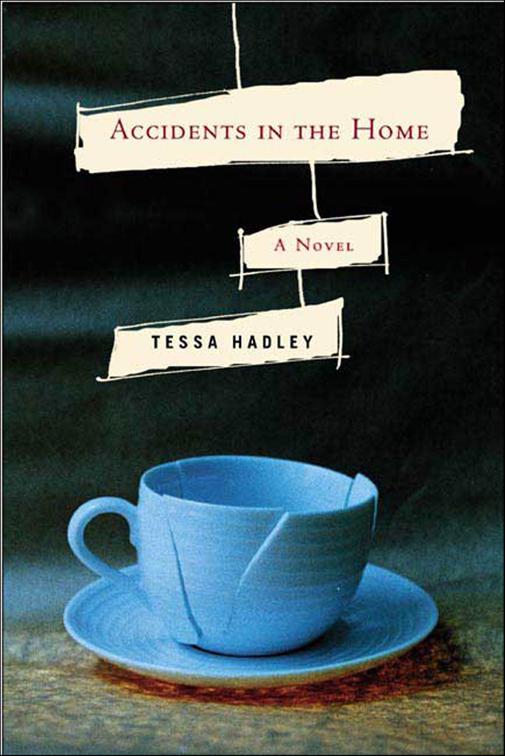 This image is the cover for the book Accidents in the Home