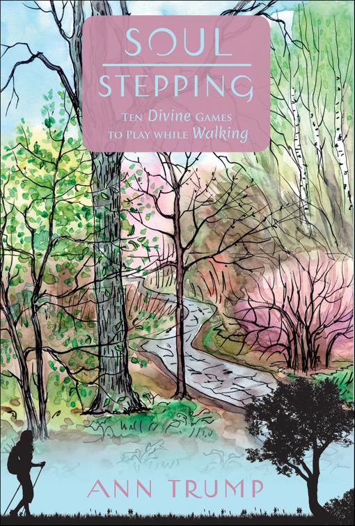 This image is the cover for the book Soul Stepping