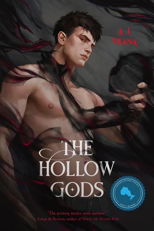 This image is the cover for the book The Hollow Gods, The Chaos Cycle