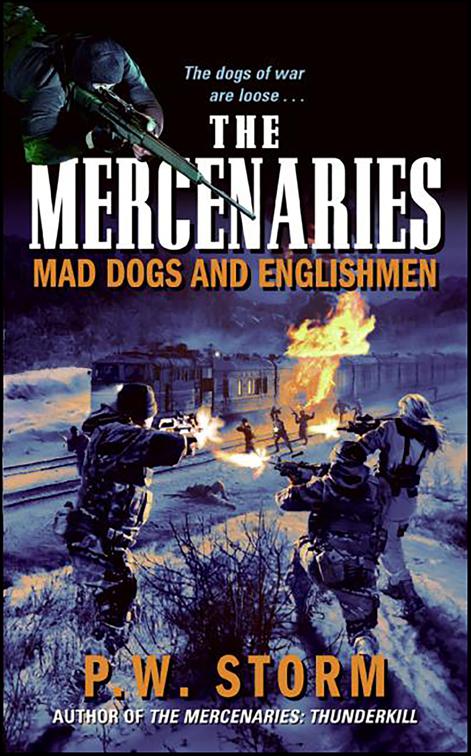 This image is the cover for the book Mercenaries
