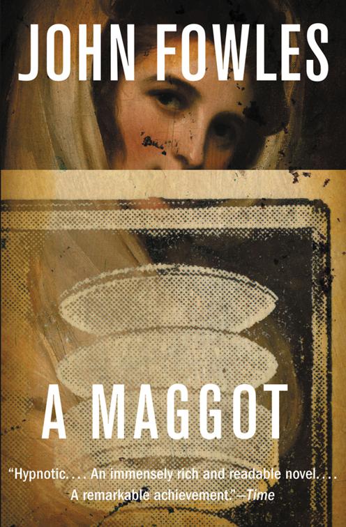 This image is the cover for the book Maggot