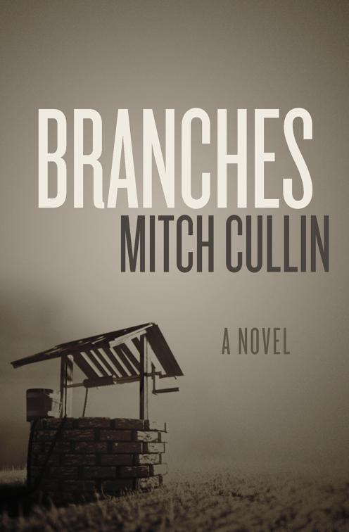 This image is the cover for the book Branches
