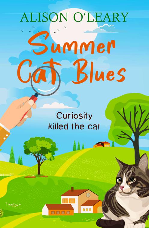 This image is the cover for the book Summer Cat Blues, Cat Noir
