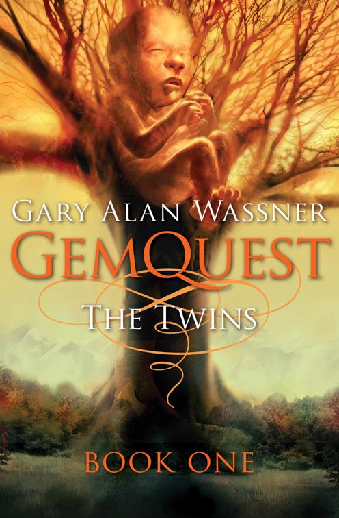 This image is the cover for the book Twins, GemQuest