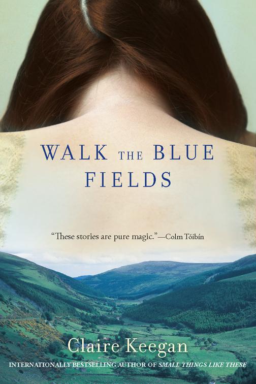 This image is the cover for the book Walk the Blue Fields