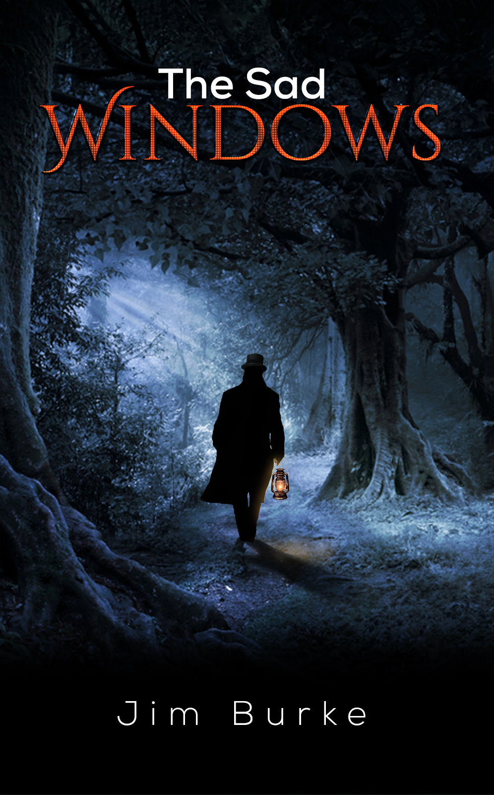 This image is the cover for the book The Sad Windows