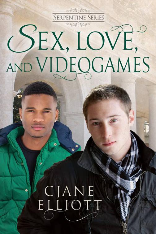 Sex, Love, and Videogames, The Serpentine