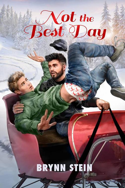 This image is the cover for the book Not the Best Day, 2015 Advent Calendar - Sleigh Ride