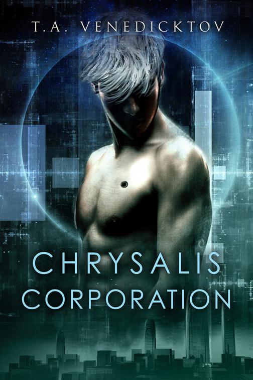 Chrysalis Corporation, Chrysalis Corporation