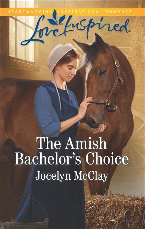 Amish Bachelor&#x27;s Choice