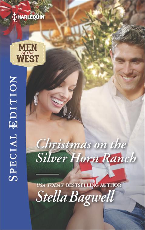 Christmas on the Silver Horn Ranch, Men of the West