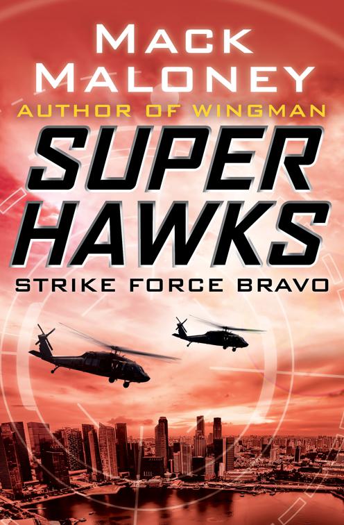 Strike Force Bravo, Superhawks