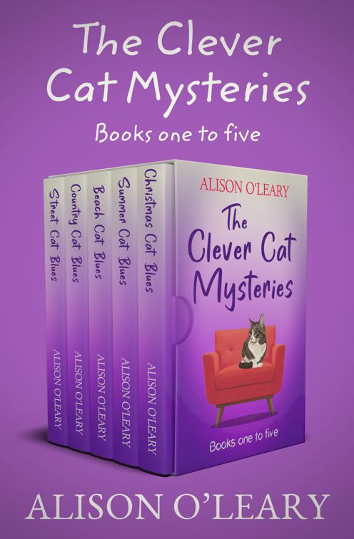 Clever Cat Mysteries Boxset Books One to Five, Cat Noir