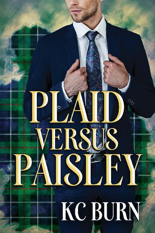 This image is the cover for the book Plaid versus Paisley, Fabric Hearts