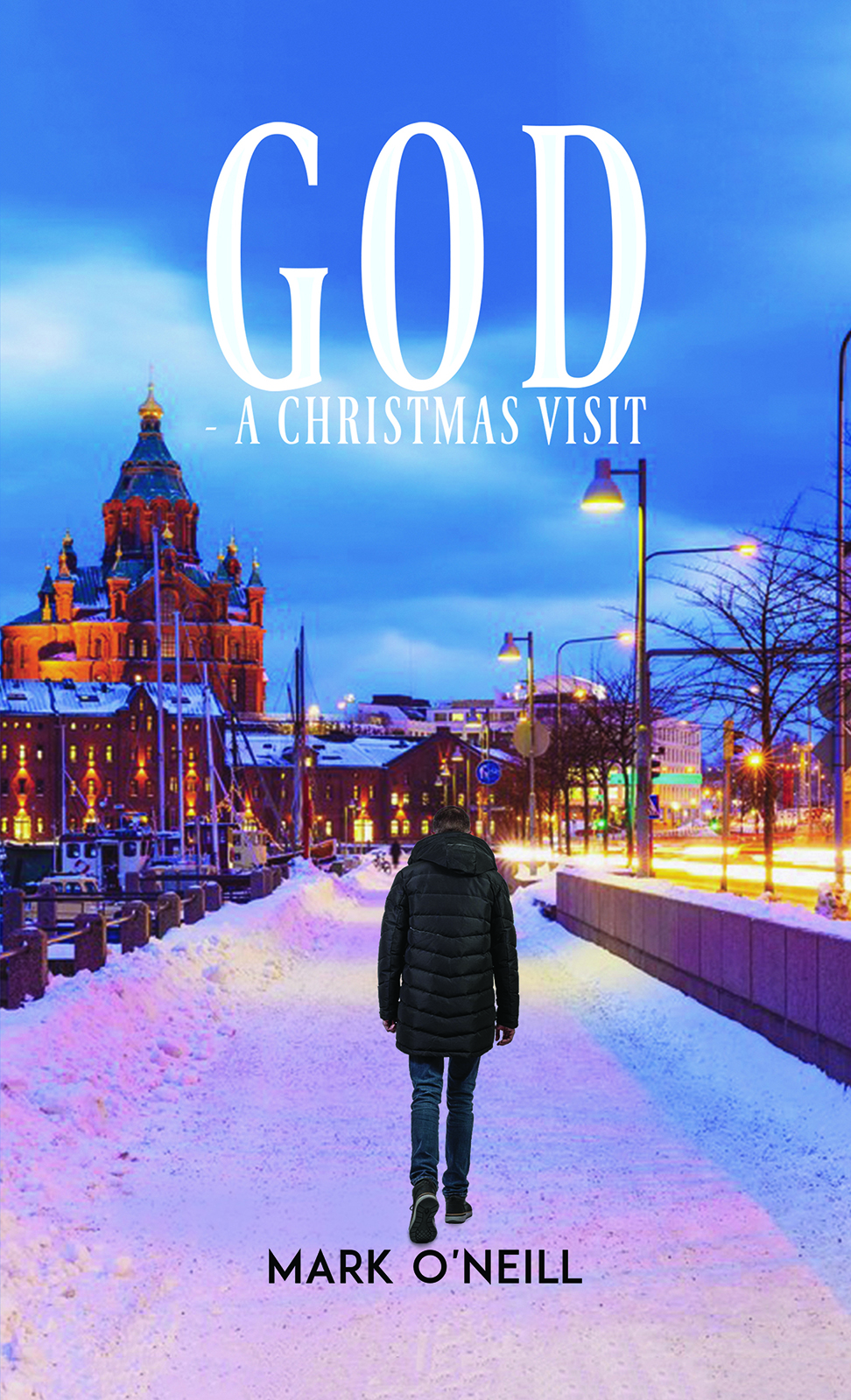 This image is the cover for the book God - A Christmas Visit