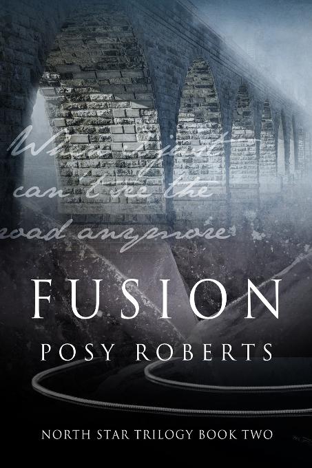 This image is the cover for the book Fusion, North Star