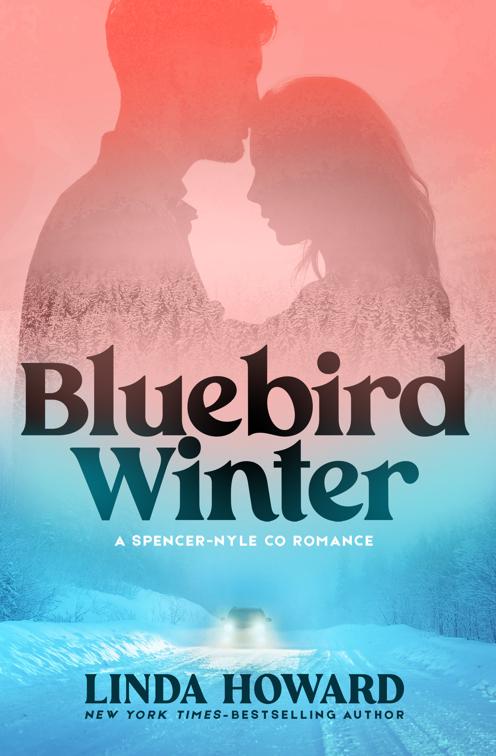 Bluebird Winter, A Spencer-Nyle Co Romance