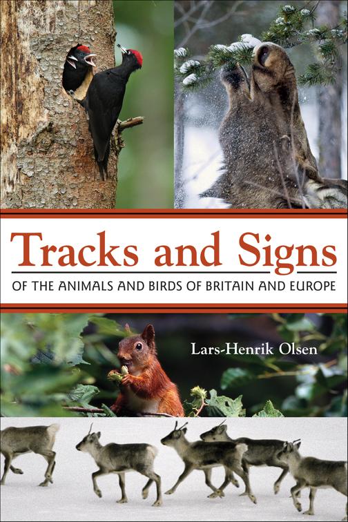 Tracks and Signs of the Animals and Birds of Britain and Europe